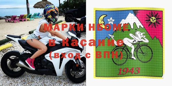 индика Алексин