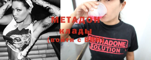 индика Алексин