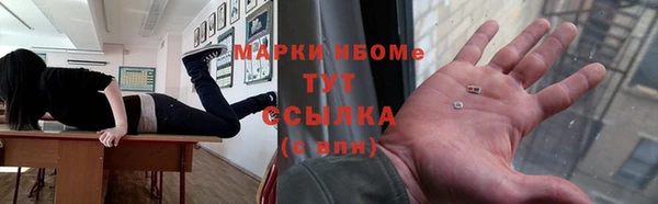 индика Алексин