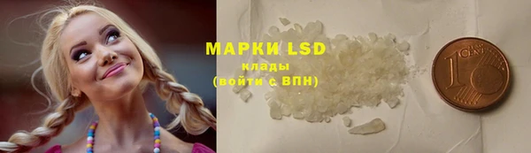 индика Алексин
