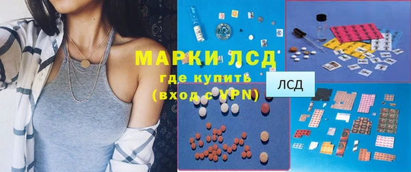 индика Алексин