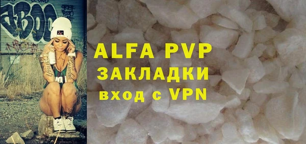 индика Алексин