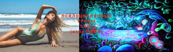 индика Алексин