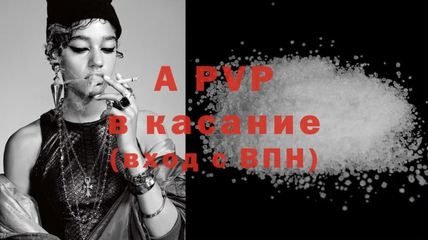 индика Алексин