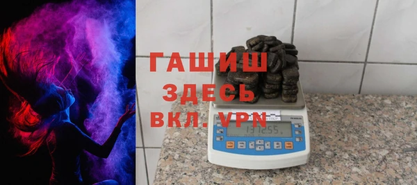 индика Алексин