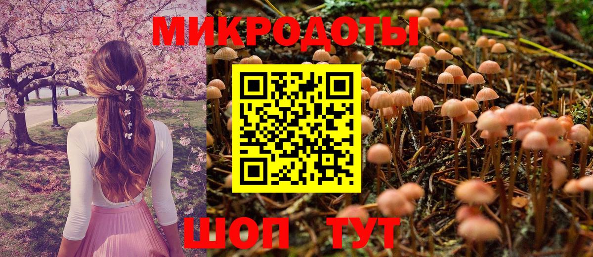 Галлюциногенные грибы мицелий Еманжелинск
